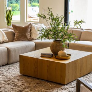 Timeless Classic Couch